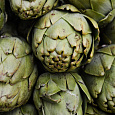 Артишок  Гурман