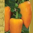 Перец Сладкий Янтарь